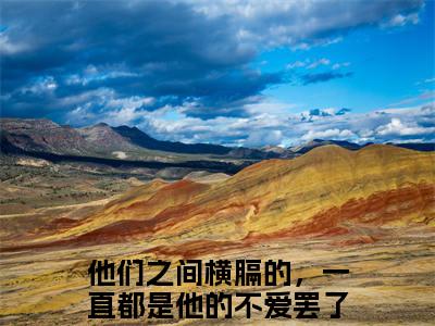 他们之间横膈的，一直都是他的不爱罢了（沈凌尘顾云殊全章节完整版）免费阅读_（他们之间横膈的，一直都是他的不爱罢了）全文无删减免费阅读（他们之间横膈的，一直都是他的不爱罢了）