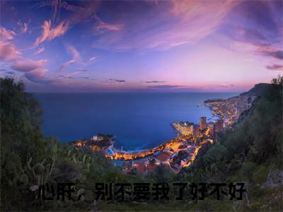 殷寒南笙全文免费阅读无弹窗大结局_（殷寒南笙阅读无弹窗）心肝，别不要我了好不好最新章节列表_笔趣阁（心肝，别不要我了好不好）