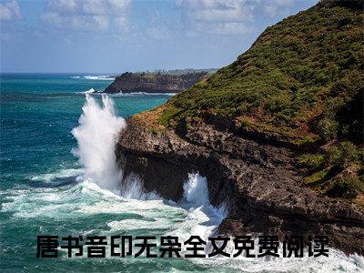 重生九零，假千金被清华北大疯抢（唐书音印无枭）精彩满分小说-强烈推荐唐书音印无枭（重生九零，假千金被清华北大疯抢）小说精彩全文阅读