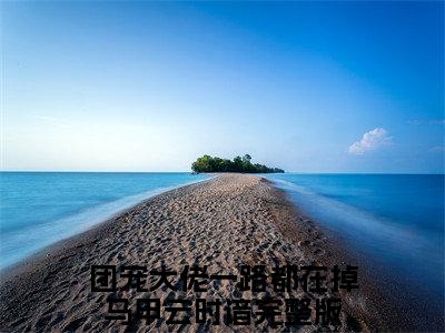 团宠大佬一路都在掉马甲云时谙全文免费阅读无弹窗（团宠大佬一路都在掉马甲云时谙）小说-团宠大佬一路都在掉马甲云时谙小说免费阅读