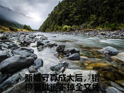 宋音书萧御辞（新婚守寡成太后，错撩疯批逃不掉）全文免费阅读无弹窗大结局_(宋音书萧御辞阅读全文大结局)新婚守寡成太后，错撩疯批逃不掉最新章节列表