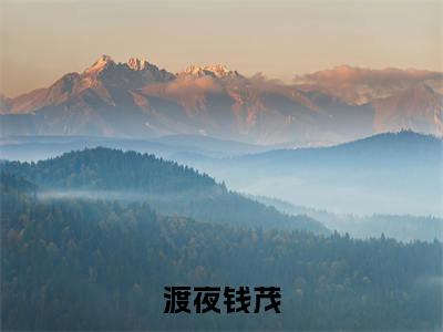 渡夜钱茂抖音新书热门热荐- 渡夜钱茂小说在线观看