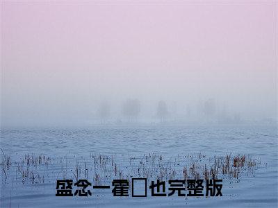 好书推荐小说盛念一霍珵也（婚后明恋）-盛念一霍珵也全文免费阅读大结局