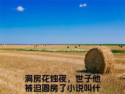 洞房花烛夜，世子他被迫圆房了（凌少景千酒酒）完整版小说阅读_凌少景千酒酒洞房花烛夜，世子他被迫圆房了全文免费阅读