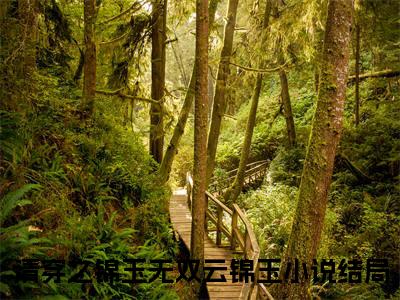 清穿之锦玉无双云锦玉（清穿之锦玉无双云锦玉）全文免费阅读无弹窗大结局_清穿之锦玉无双云锦玉完整版小说阅读