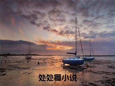 纪时清简晚音全文免费（处处瘾）全文免费阅读无弹窗大结局_（纪时清简晚音全文免费）