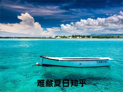 云想程澈全文免费阅读大结局-（难藏夏日）最新章节列表在线阅读
