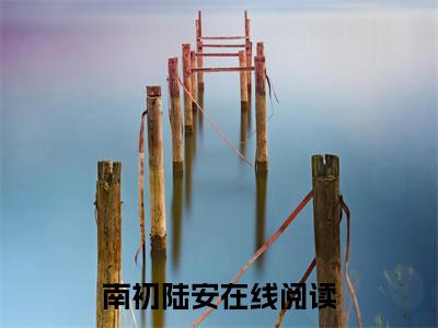 南初陆安（爱意藏于风里）全文免费阅读无弹窗大结局_爱意藏于风里全文在线阅读