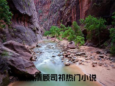 潇清清顾司祁小说全文在线赏析-最火热点小说最新更新