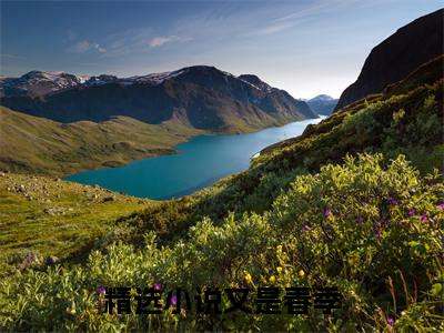 叶苒苒关俨（又是春季）全文无删减版在线阅读_叶苒苒关俨全文免费阅读最新章节列表_笔趣阁