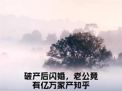 破产后闪婚，老公竟有亿万家产（宋清欢厉霆川）免费阅读无弹窗大结局-宋清欢厉霆川（最新全章节大结局）全文阅读