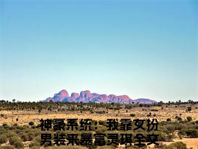 神豪系统：我靠女扮男装来暴富灵琪的小说全文免费阅读无弹窗,主角名字是：神豪系统：我靠女扮男装来暴富灵琪的小说在线免费阅读大结局