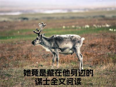 她竟是藏在他身边的谋士（梁怀远叶舒青）全文免费阅读无弹窗_（她竟是藏在他身边的谋士小说免费阅读）最新章节列表笔趣阁