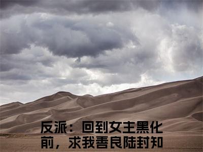 反派：回到女主黑化前，求我善良陆封小说（反派：回到女主黑化前，求我善良陆封）全文免费阅读无弹窗大结局_反派：回到女主黑化前，求我善良陆封小说最新章节列表