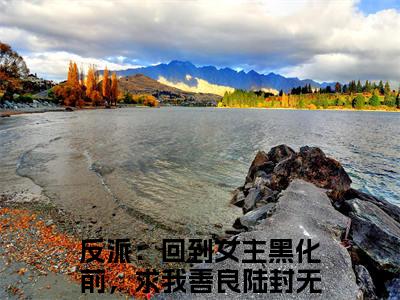反派：回到女主黑化前，求我善良陆封全文免费阅读无弹窗-（反派：回到女主黑化前，求我善良陆封在线阅读）反派：回到女主黑化前，求我善良陆封最新章节列表笔趣阁