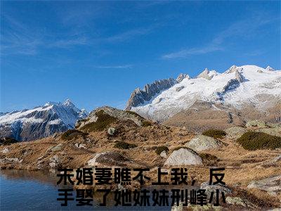 小说未婚妻瞧不上我，反手娶了她妹妹刑峰全文免费阅读无弹窗大结局-未婚妻瞧不上我，反手娶了她妹妹刑峰在线阅读