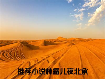 林霜儿夜北承（林霜儿夜北承）全文免费阅读大结局-林霜儿夜北承最新章节列表免费阅读大结局
