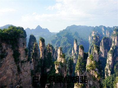 白狐保家仙胡斐（白狐保家仙胡斐）小说-白狐保家仙胡斐小说免费最新章节列表