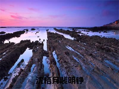沈栖月裴明铮小说最新章节（沈栖月裴明铮全文免费）小说全集无弹窗大结局_沈栖月裴明铮最新章节列表_笔趣阁（沈栖月裴明铮）
