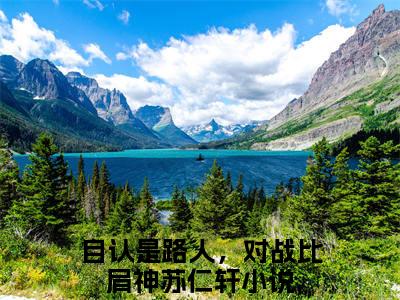 自认是路人，对战比肩神苏仁轩小说免费阅读-（自认是路人，对战比肩神苏仁轩）言情小说讲的是什么