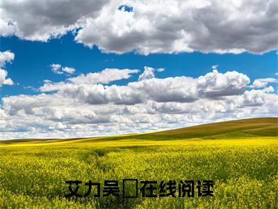 热推新书艾力吴頔小说全文（艾力吴頔）全文免费阅读_艾力吴頔最新章节无弹窗阅读