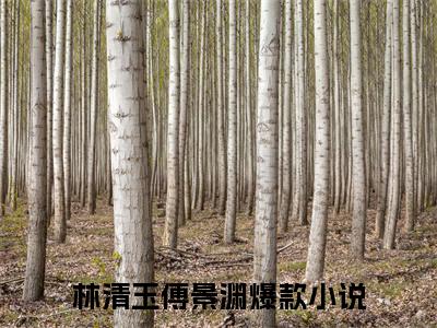 林清玉傅景渊（林清玉傅景渊）小说-林清玉傅景渊小说免费最新章节列表