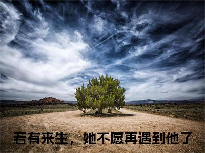 黎星漫裴暻（若有来生，她不愿再遇到他了）全文完整版免费阅读_若有来生，她不愿再遇到他了（黎星漫裴暻全文免费阅读）最新章节列表