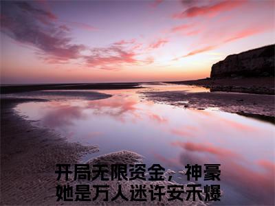 开局无限资金，神豪她是万人迷许安禾 开局无限资金，神豪她是万人迷许安禾小说全文免费阅读_开局无限资金，神豪她是万人迷许安禾最新章节列表笔趣阁
