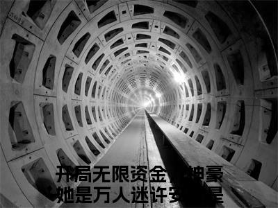 开局无限资金，神豪她是万人迷许安禾精彩热门小说_开局无限资金，神豪她是万人迷许安禾最新章节列表_笔趣阁