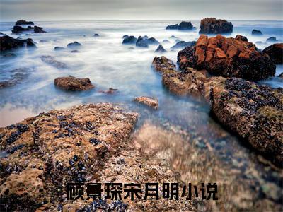 顾景琛宋月明无删版小说阅读-顾景琛宋月明全文无弹窗试读