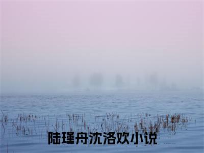 陆瑾舟沈洛欢书名是《陆瑾舟沈洛欢》在线赏析_陆瑾舟沈洛欢txt小说阅读_陆瑾舟沈洛欢在线阅读笔趣阁