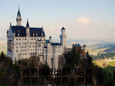 夏轻暖卫鹤雪（被退婚赶出豪门后她惊艳了全世界）全文免费阅读无弹窗大结局_（夏轻暖卫鹤雪阅读无弹窗）被退婚赶出豪门后她惊艳了全世界最新章节列表