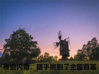唐晓凌琛免费小说（被迫闪婚，随手挑到了全国首富）全本免费阅读-唐晓凌琛最新章节列表