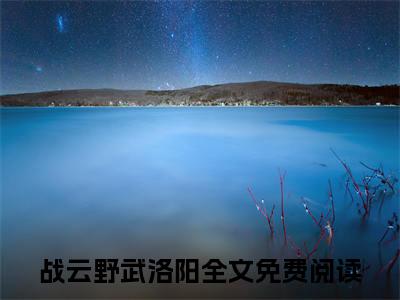 战云野武洛阳小说免费（战云野武洛阳）全文免费阅读无弹窗大结局_（战云野武洛阳）战云野武洛阳小说免费免费阅读无弹窗最新章节列表