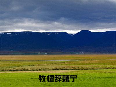 牧檀辞魏宁全文免费阅读无弹窗大结局_娇宠降落无弹窗全文阅读