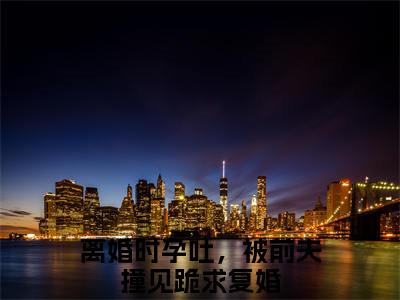 离婚时孕吐，被前夫撞见跪求复婚（苏南星陆北渊）全文免费阅读无弹窗大结局_苏南星陆北渊最新章节列表