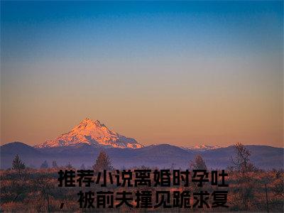 高赞小说离婚时孕吐，被前夫撞见跪求复婚（苏南星陆北渊）完结阅读_苏南星陆北渊离婚时孕吐，被前夫撞见跪求复婚免费看全文