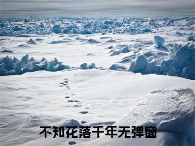 不知花落千年小说全文-白盛雪南烨无弹窗免费阅读