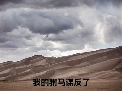 陆晚梨谢妄川（我的驸马谋反了）全文小说在线阅读-陆晚梨谢妄川全章节最新阅读