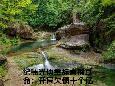 人气小说纪摇光傅聿辞在线阅读-正版小说《纪摇光傅聿辞》直播算命：开局欠债十个亿全文阅读