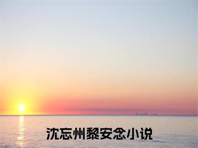 沈忘州黎安念全文免费完整版-沈忘州黎安念小说阅读