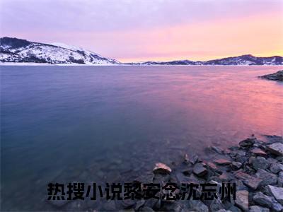 黎安念沈忘州完整版全文在线赏析-黎安念沈忘州全文在线阅读