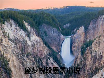盛梦槐段墨景（盛梦槐段墨景无弹窗）全文免费阅读无弹窗大结局_盛梦槐段墨景最新章节列表_笔趣阁（盛梦槐段墨景无弹窗）