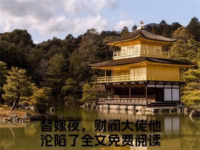 傅暖暖顾霆深是哪部小说的主角，替嫁夜，财阀大佬他沦陷了全文无弹窗完整版阅读