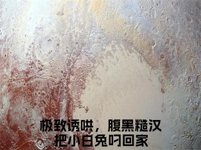 极致诱哄，腹黑糙汉把小白兔叼回家小说免费阅读闻炽苏沁小说全文免费阅读_（极致诱哄，腹黑糙汉把小白兔叼回家）闻炽苏沁最新章节列表笔趣阁