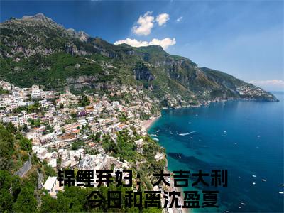 沈盈夏（锦鲤弃妇：大吉大利，今日和离）全文免费阅读无弹窗大结局_沈盈夏最新章节列表（锦鲤弃妇：大吉大利，今日和离）