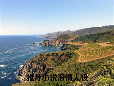 秦墨（深情人设）全文免费阅读无弹窗_秦墨（深情人设小说完整版）最新章节列表