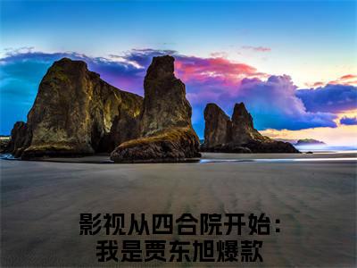 影视从四合院开始：我是贾东旭（林岩）全文免费阅读无弹窗大结局_林岩全文在线阅读