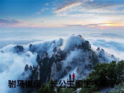 沈砚尘姜稚月小说免费阅读无弹窗大结局,驸马谋反，长公主重生不干了最新章节列表