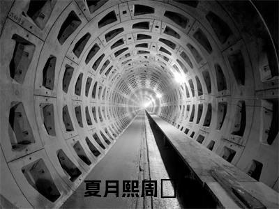 夏月熙周昇辰小说（夏月熙周昇辰）全文免费阅读无弹窗大结局_(夏月熙周昇辰小说)夏月熙周昇辰小说免费阅读无弹窗最新章节列表_笔趣阁（夏月熙周昇辰）